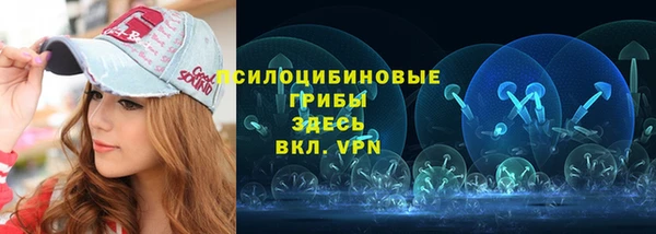 дживик Алексин