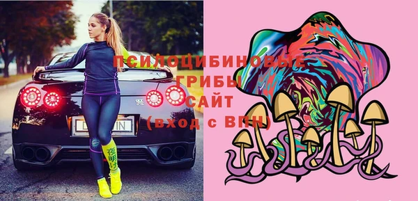 молекула духа Алексеевка