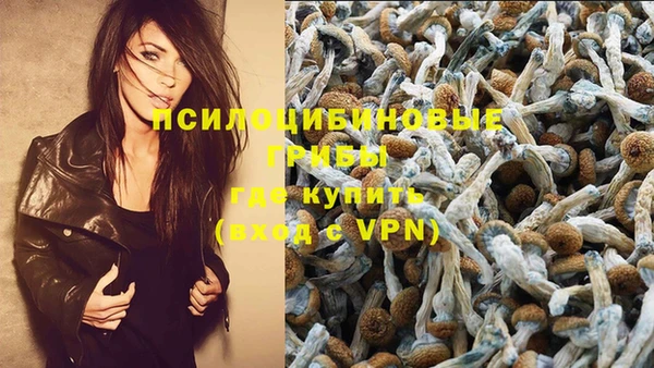 молекула духа Алексеевка