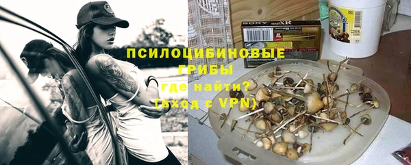 дживик Алексин