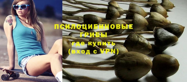 дживик Алексин