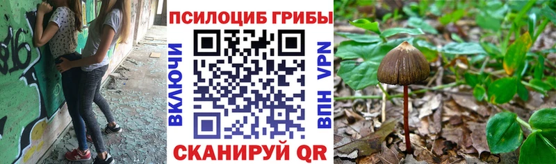 Псилоцибиновые грибы Psilocybine cubensis  купить наркотик  kraken ONION  Берёзовка 
